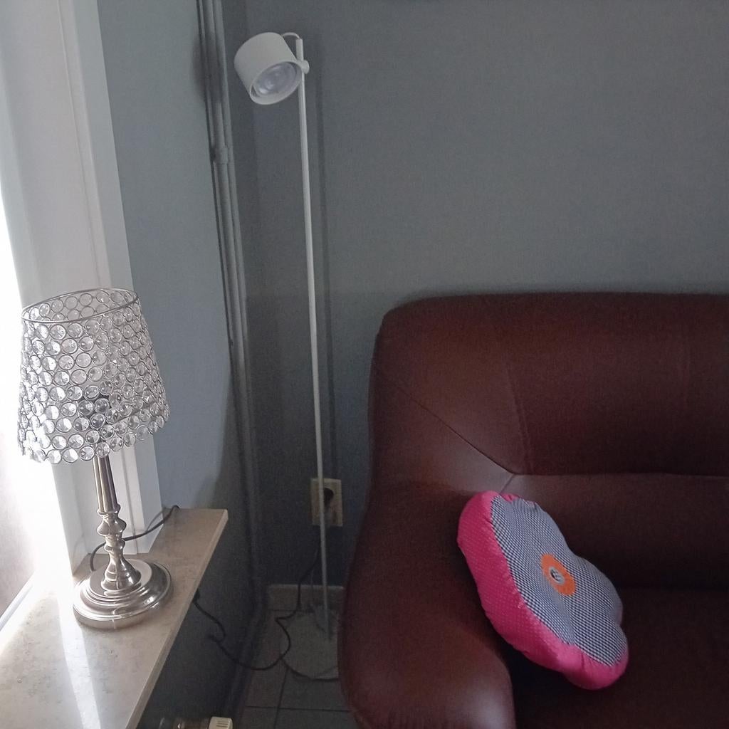 Staande lamp ,led verkleuring en afstandsbediening, Huis en Inrichting, Lampen | Vloerlampen, Ophalen, Zo goed als nieuw