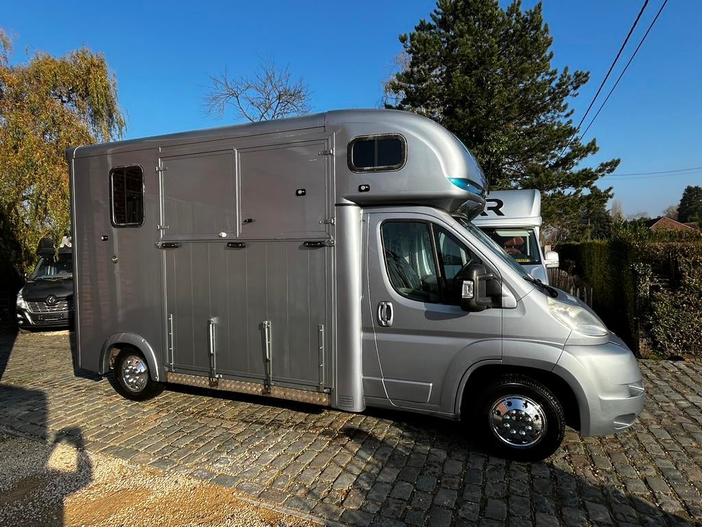 Camionnette chevaux version stalle, Animaux & Accessoires, Chevaux & Poneys | Semi-remorques & Remorques, Enlèvement, Comme neuf