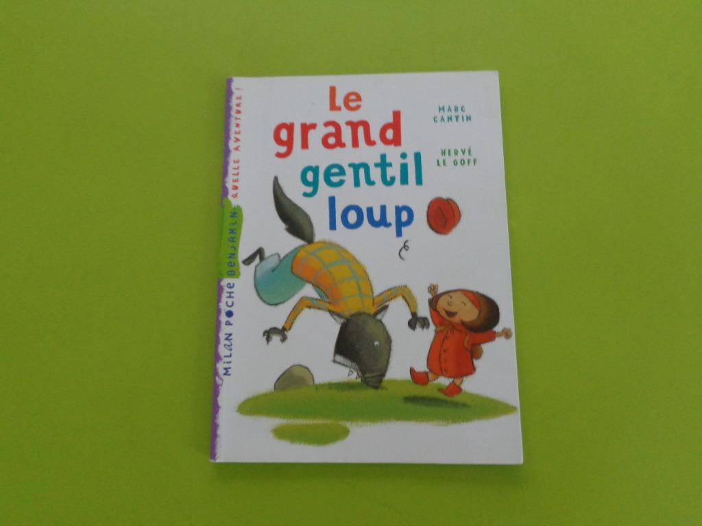 Kinderboeken, leren, lezen, Montessori 1 en meer, Fictie algemeen, Ophalen of Verzenden, Zo goed als nieuw, PEF-CANTINI-LE GOFF
