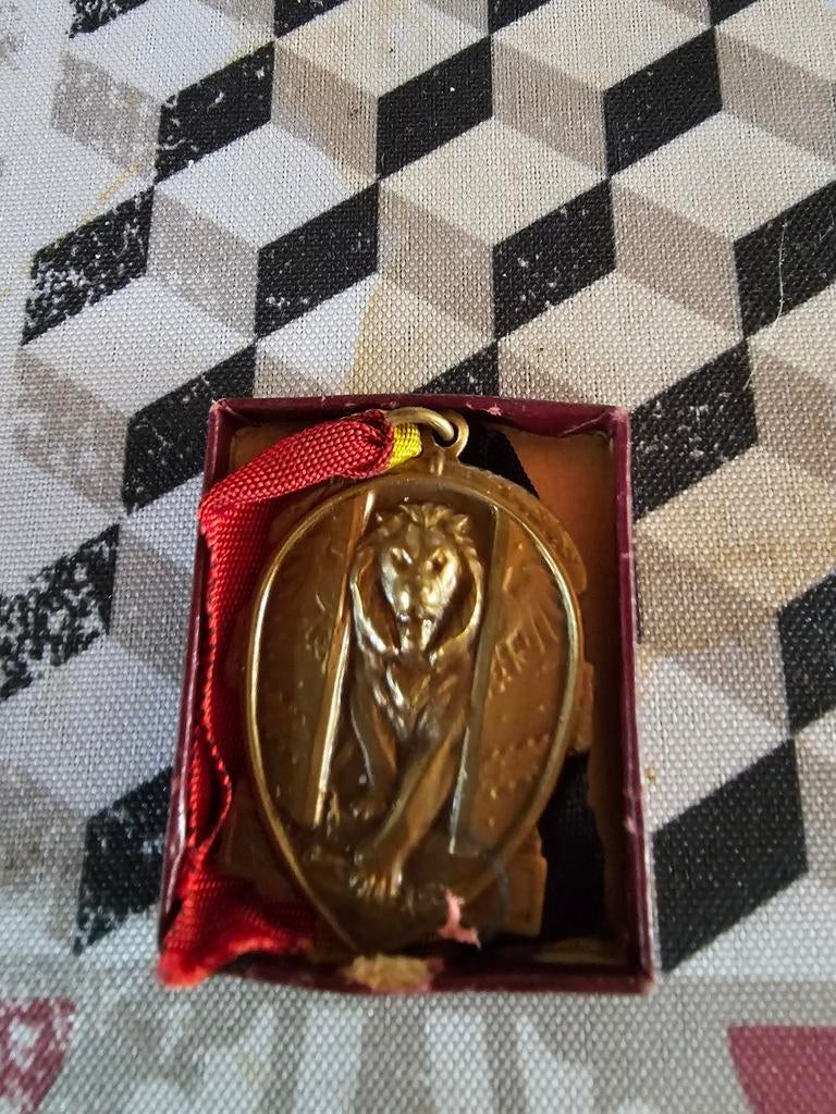 Médaille 1940-1945 Anderlues, Enlèvement