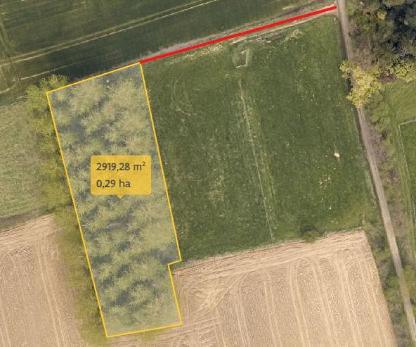 Bos te koop Bertem nieuwstraat  0.29ha vrij, Immo, Bertem, Verkoop zonder makelaar, 200 tot 500 m²