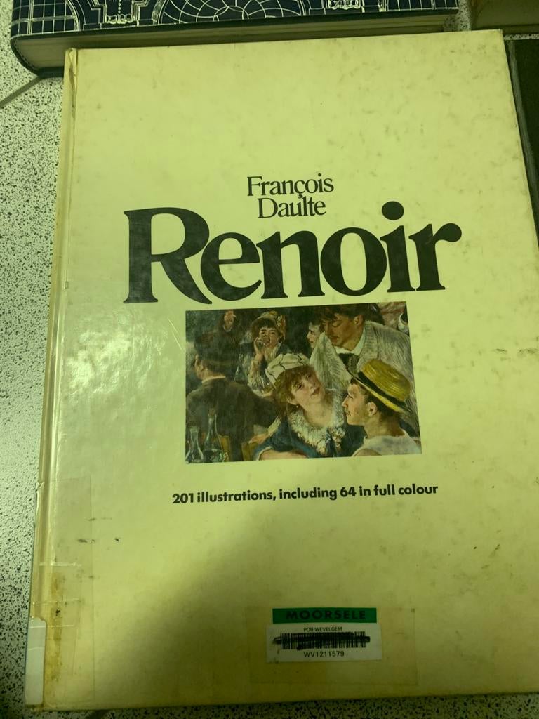 Boek Renoir, Ophalen of Verzenden, Zo goed als nieuw