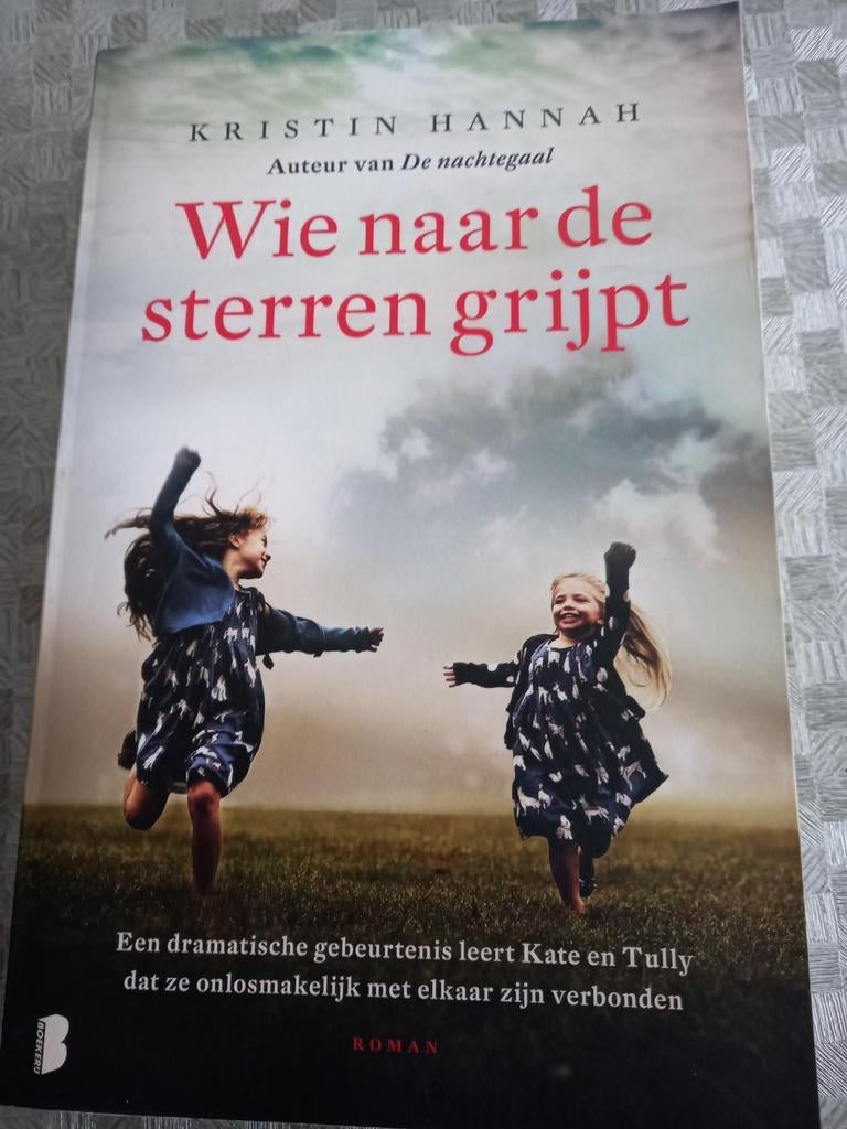 Kristin Hannah - Wie naar de sterren grijpt, Boeken, Ophalen of Verzenden, Zo goed als nieuw, Kristin Hannah