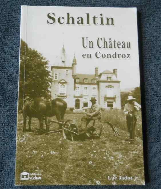 Schaltin un château en Condroz (Luc Jadot Jr)  -  Hamois, Ophalen of Verzenden, Gelezen