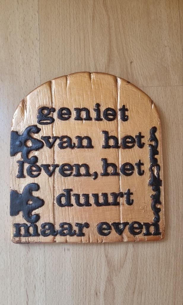 Oude spreuk in een nieuw jasje, Ophalen of Verzenden, Zo goed als nieuw