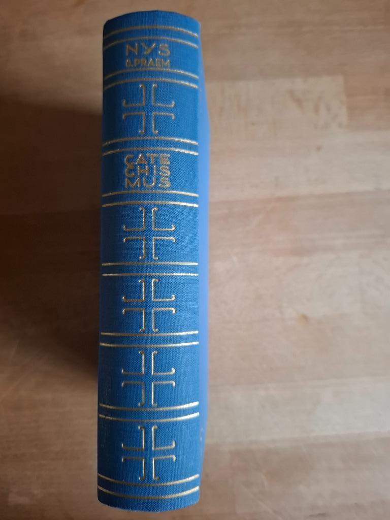 de catechismus op den preekstoel, Boeken, Godsdienst en Theologie, Ophalen of Verzenden, Gelezen, Christendom | Katholiek