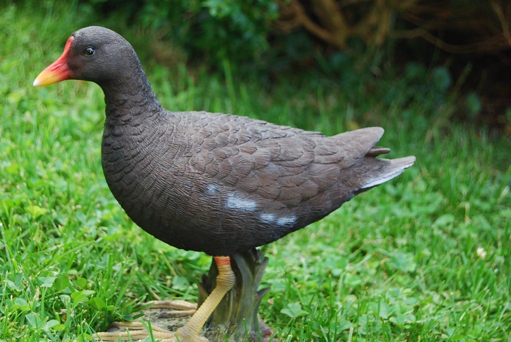 Superbe poule d'eau en polyrésine de grande qualité, Enlèvement ou Envoi, Neuf, Animal