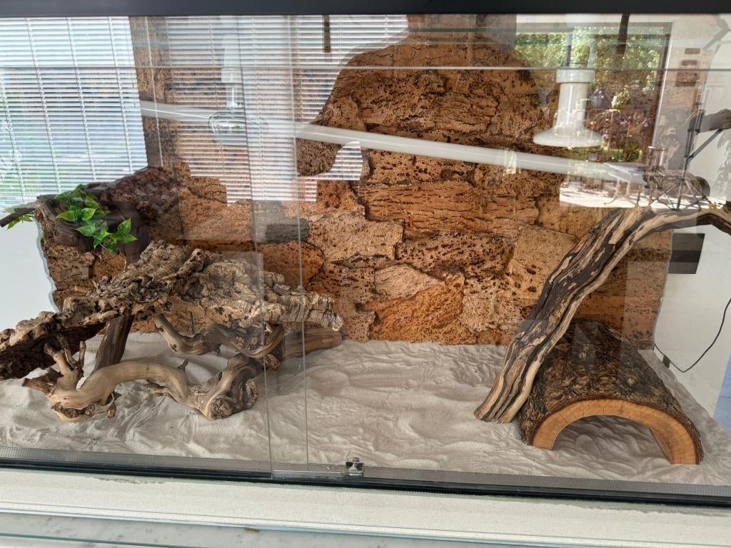 Terrarium met alle toebehoren & extra's, Dieren en Toebehoren, Ophalen, Zo goed als nieuw, Terrarium of Paludarium