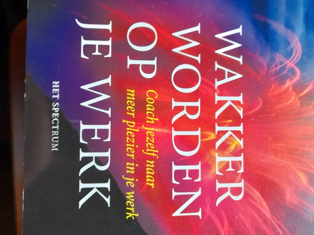 Wakker worden op je werk. Van Lier M., Boeken, Ophalen of Verzenden, Zo goed als nieuw, Van Lier Marjan