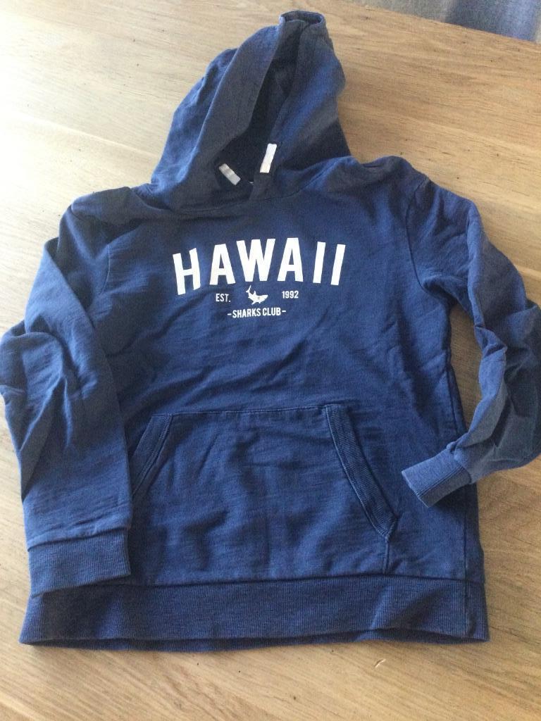 Trui Hawaï hoodie 134-140, Gebruikt, Trui of Vest, H&M, Ophalen of Verzenden
