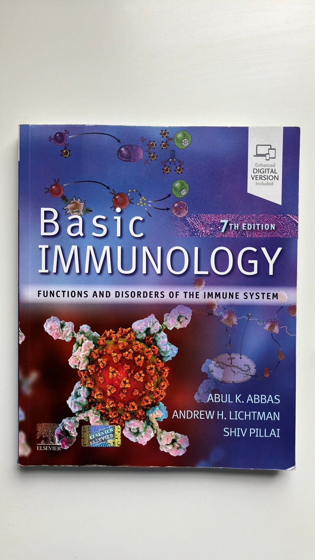 Immunologie de base 7e édition, Livres, Livres d'étude & Cours, Enlèvement ou Envoi, Comme neuf, Enseignement supérieur