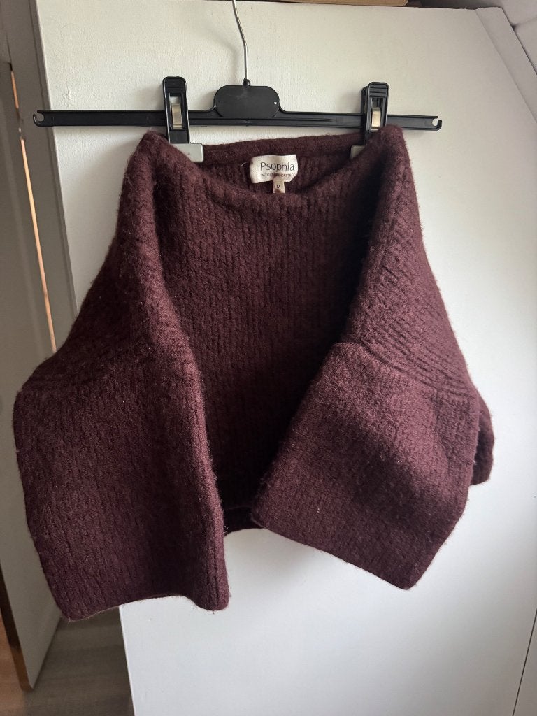 Trui merino wol pshophia, Kleding | Dames, Maat 38/40 (M), Bruin, Ophalen of Verzenden, Pshophia