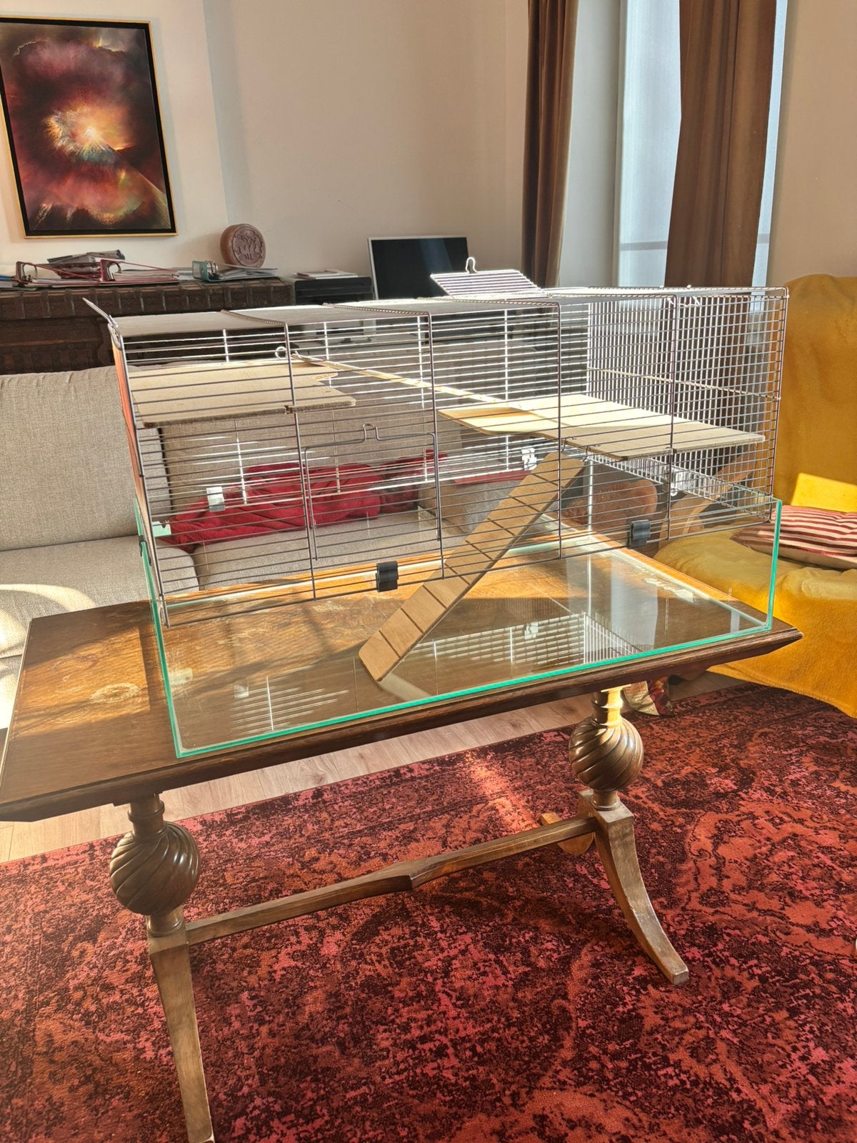 Cage et équipement pour hamster/rongeur, Animaux & Accessoires, 75 à 110 cm, Cage, Comme neuf, Enlèvement