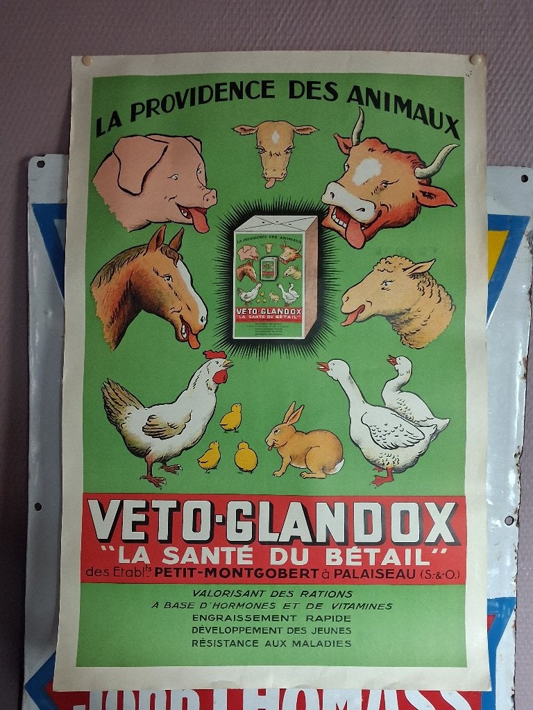 A vendre cette jolie affiche publicitaire., Collections, Posters & Affiches, Enlèvement ou Envoi, Rectangulaire vertical, Avec cadre