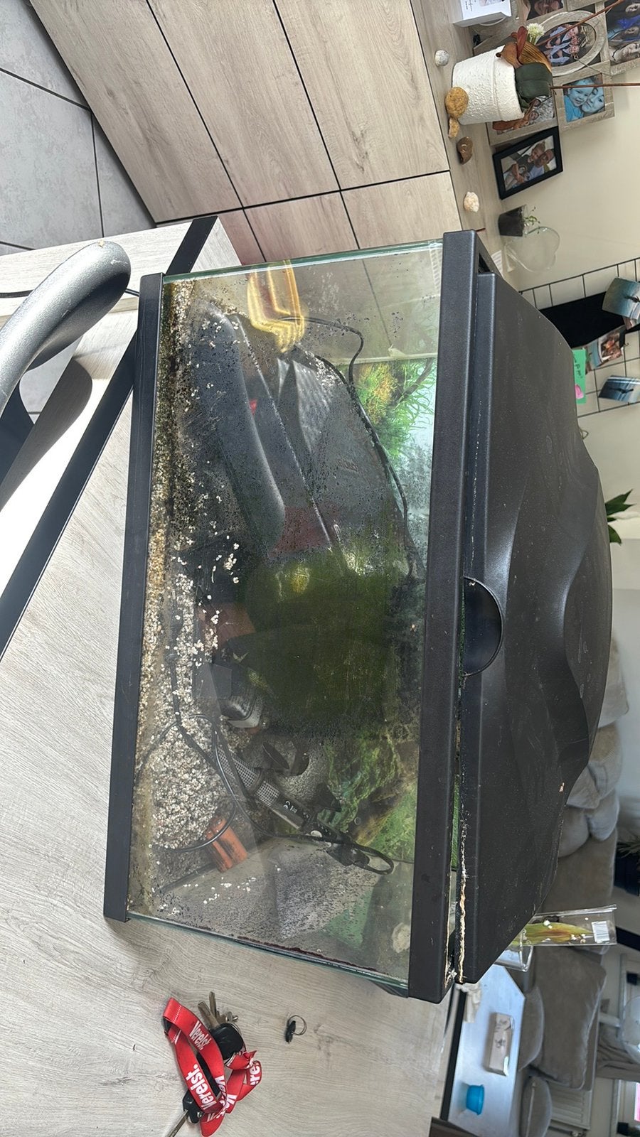 Aquarium avec accesoir, Enlèvement, Pompe, Comme neuf