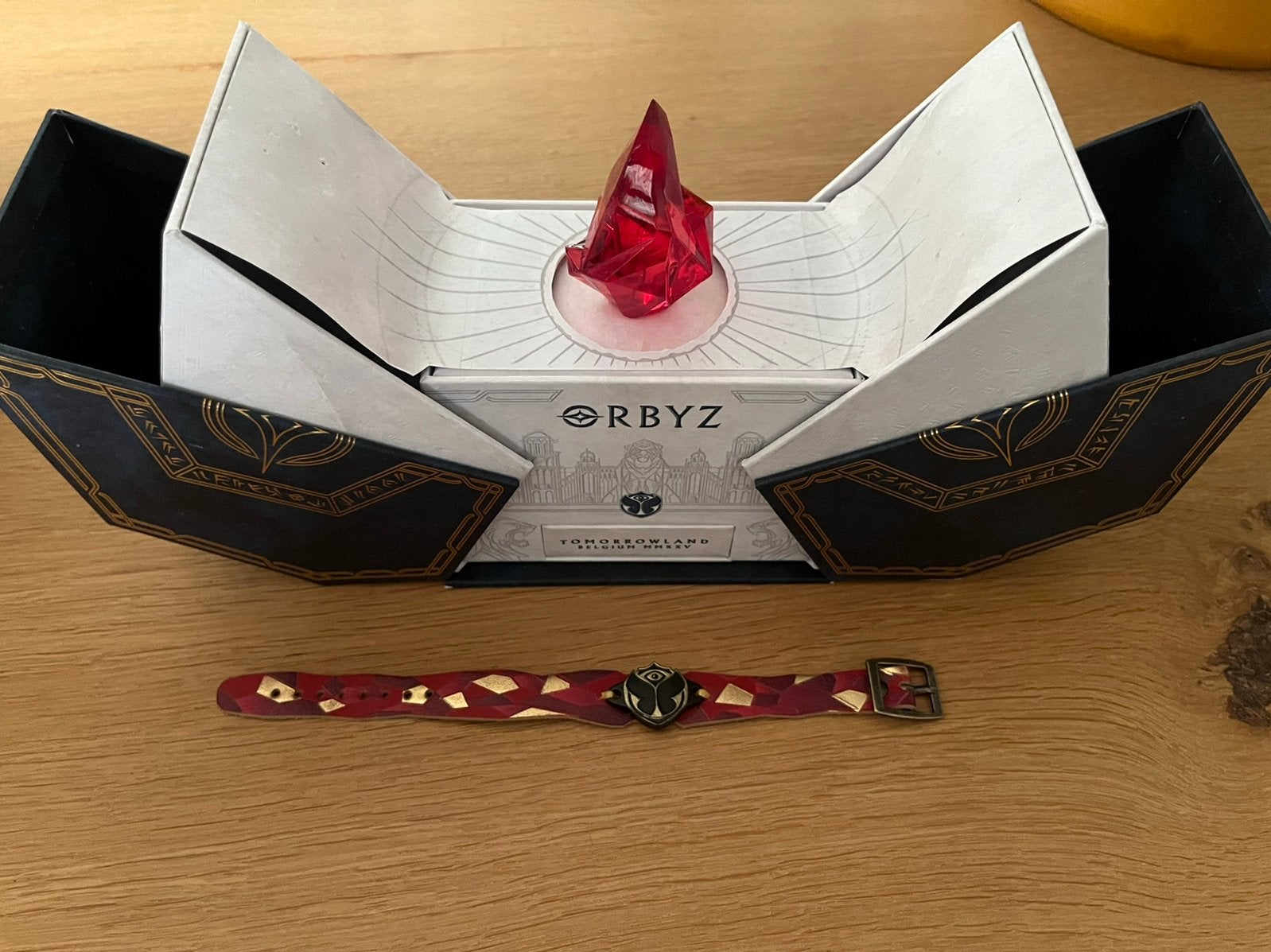 Tomorrowland treasure case met armbandje