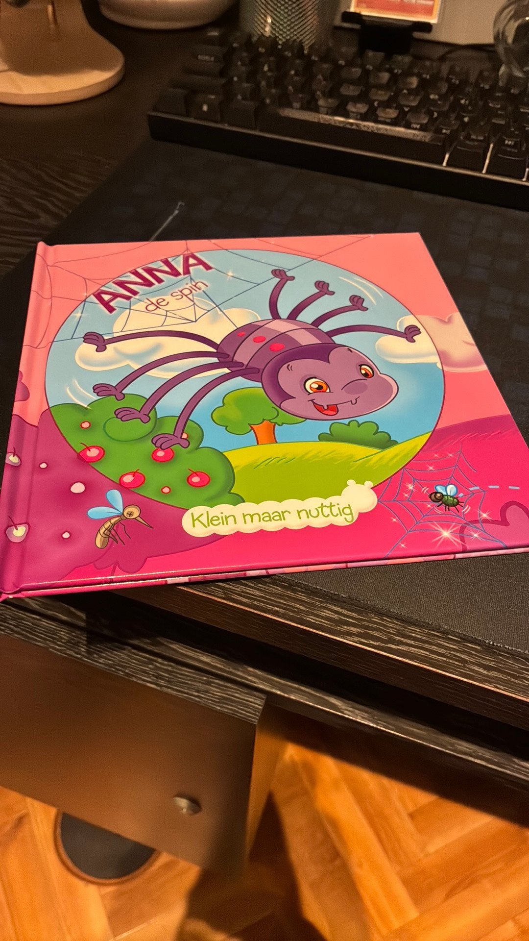 Kinderleesboek: Anna de spin, Ophalen, Zo goed als nieuw