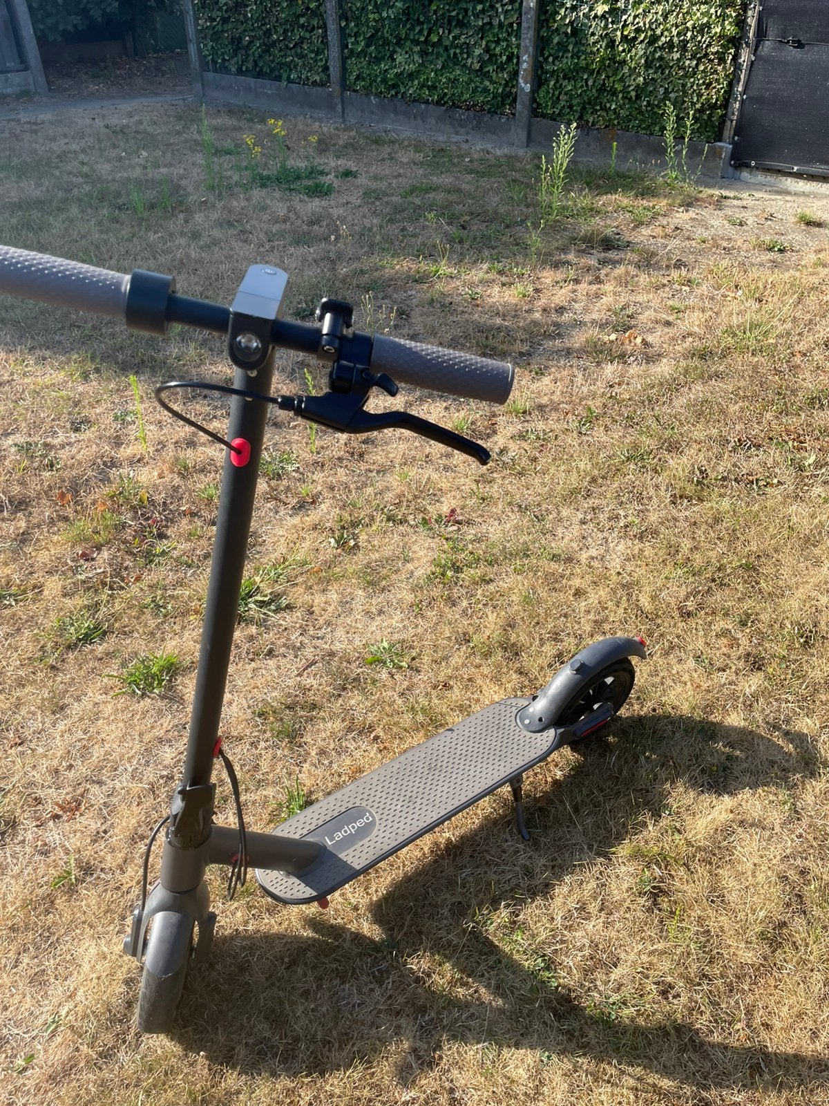 Elektrische step, Ophalen, Nieuw, Elektrische step (E-scooter)