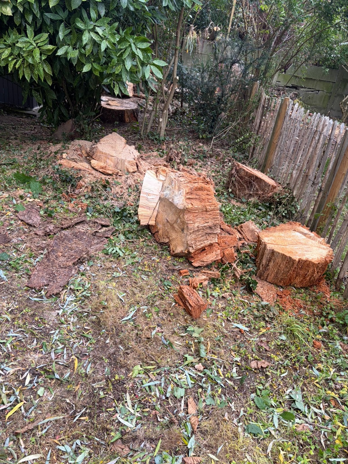 Bois a donner, Jardin & Terrasse, Enlèvement, Troncs d'arbres