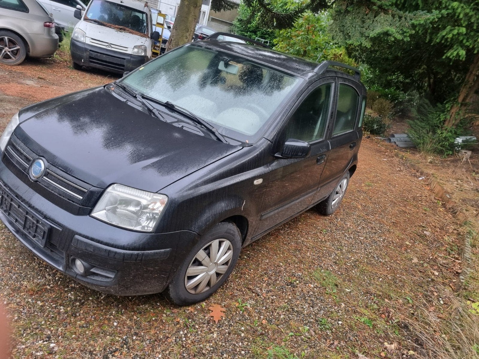 Fiat Panda 1200cc automatique, Autos, Achat, Panda, Noir, 5 portes