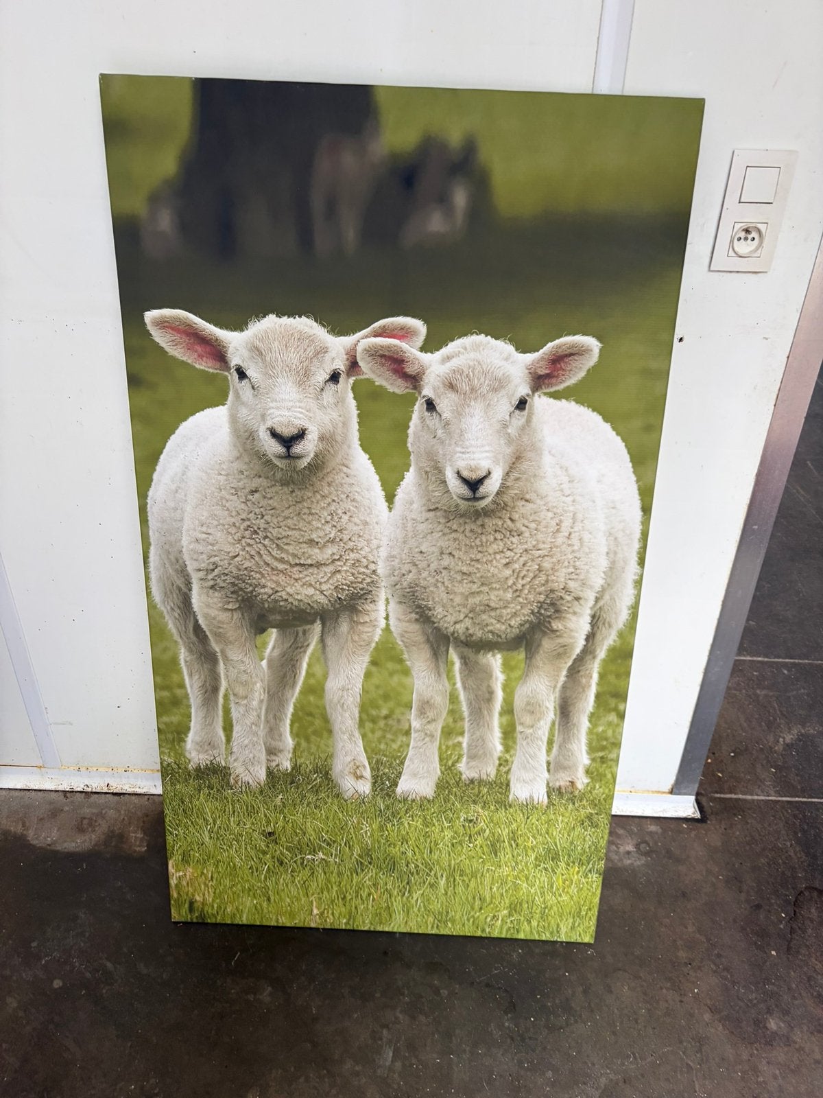 Canvas doek op houteb skelet, Huis en Inrichting, Ophalen, Zo goed als nieuw