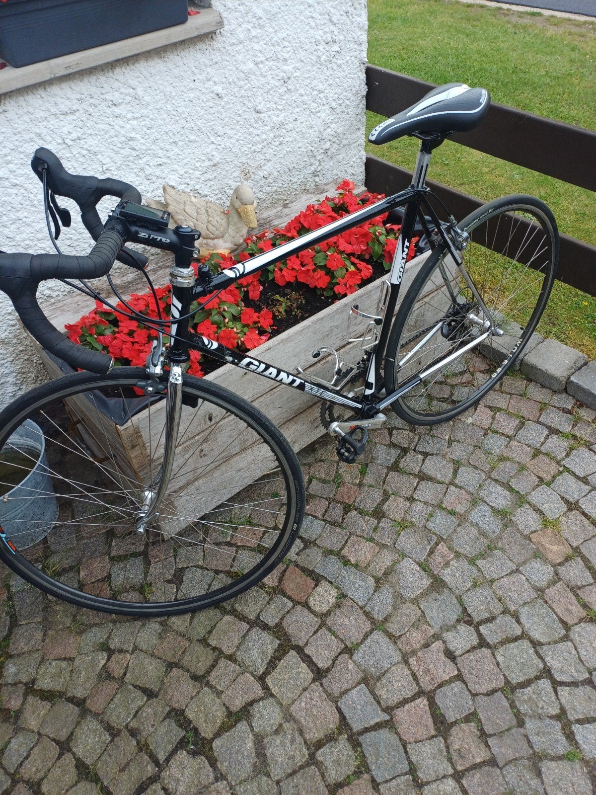 retro koersfiet Giant., Fietsen en Brommers, Ophalen, Giant