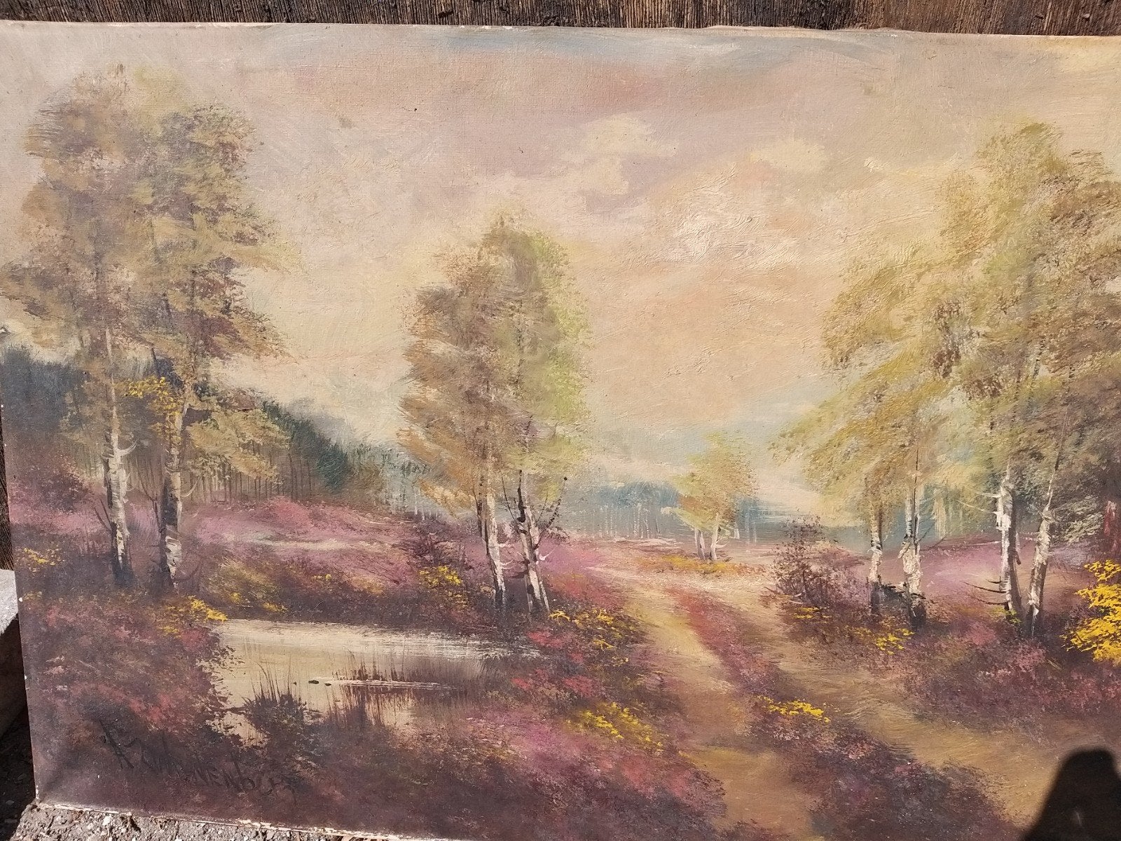 swaneberg landschap zonder kader meet 70 cm op 50, Antiek en Kunst, Kunst | Schilderijen | Klassiek, Ophalen, Landschap