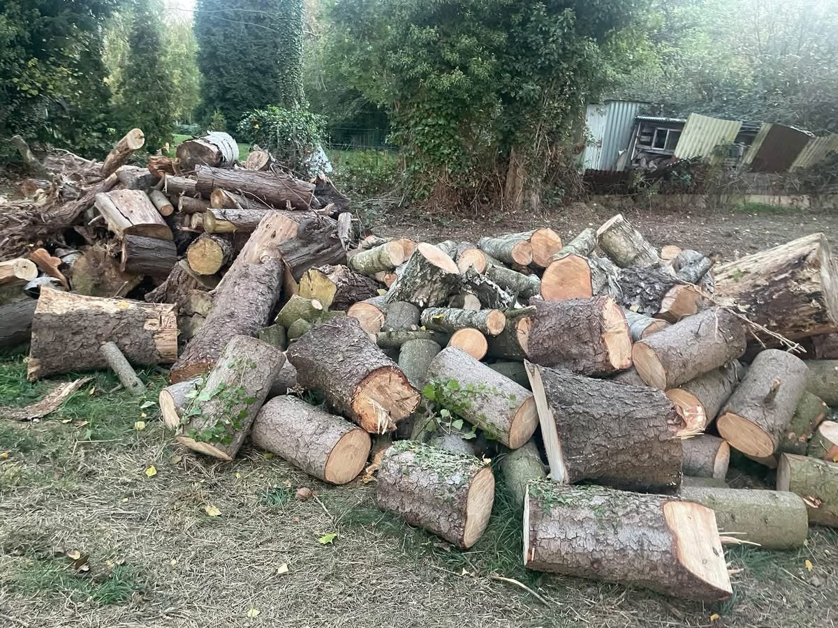 A donner, Jardin & Terrasse, Enlèvement