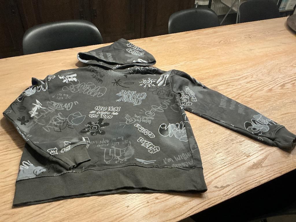 Hoodie maat 164, Enfants & Bébés, Vêtements enfant | Taille 164, Enlèvement ou Envoi, Comme neuf, Zara, Garçon