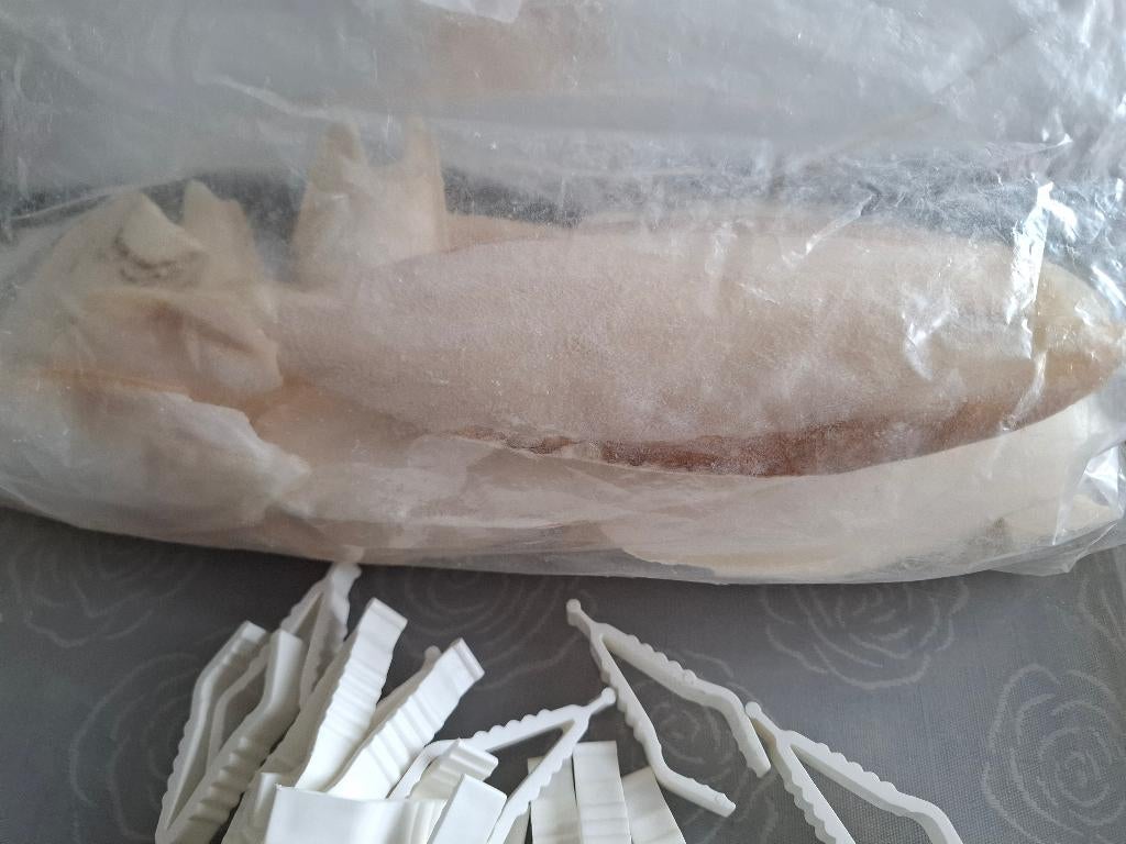 Sepiaschelpen met houders, Ophalen, Zo goed als nieuw, Zand en Verzorging