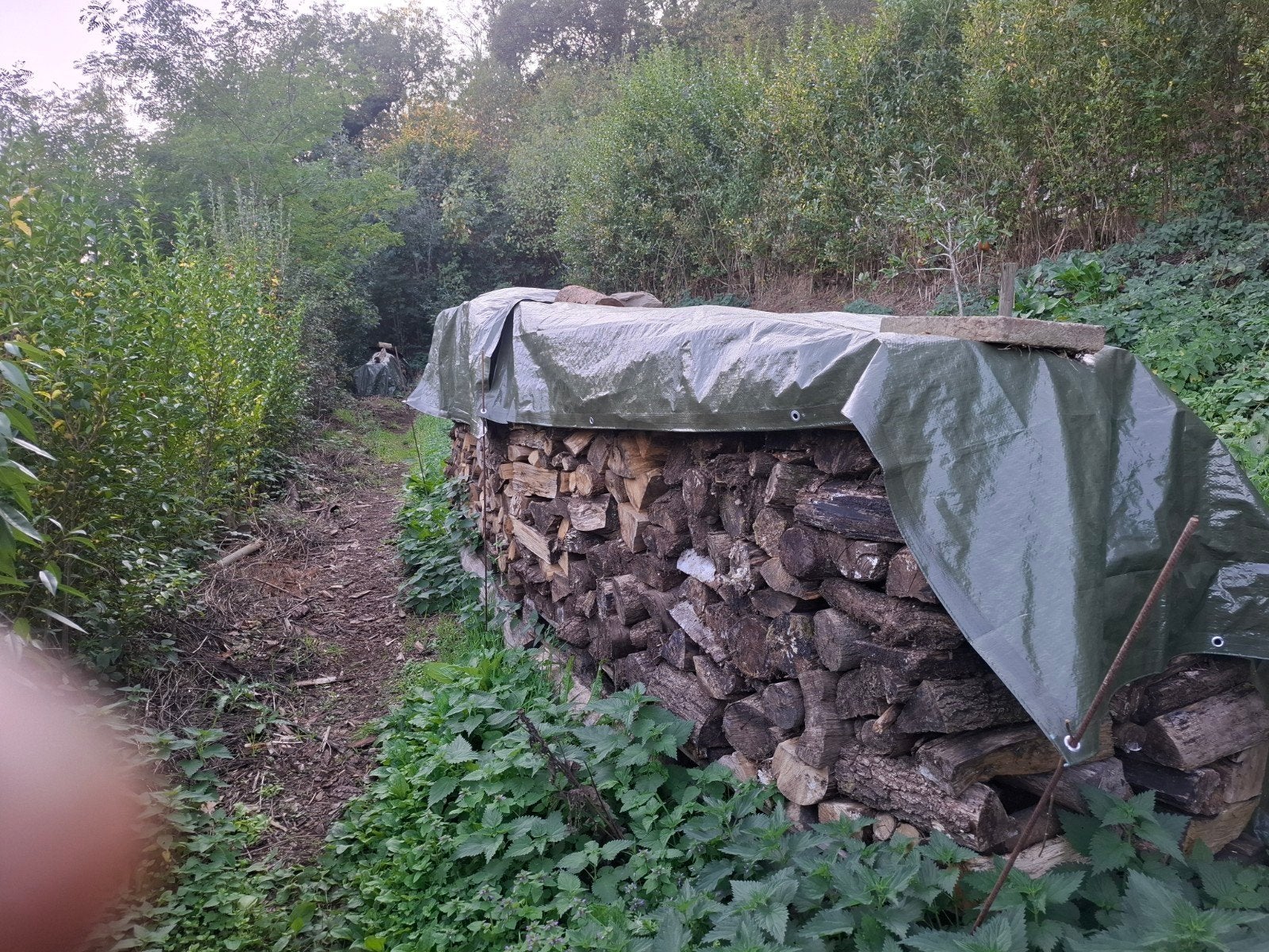 Bois de chauffage sec de 3 ans resineux (sapin) 60 eur, Tuin en Terras, Ophalen of Verzenden