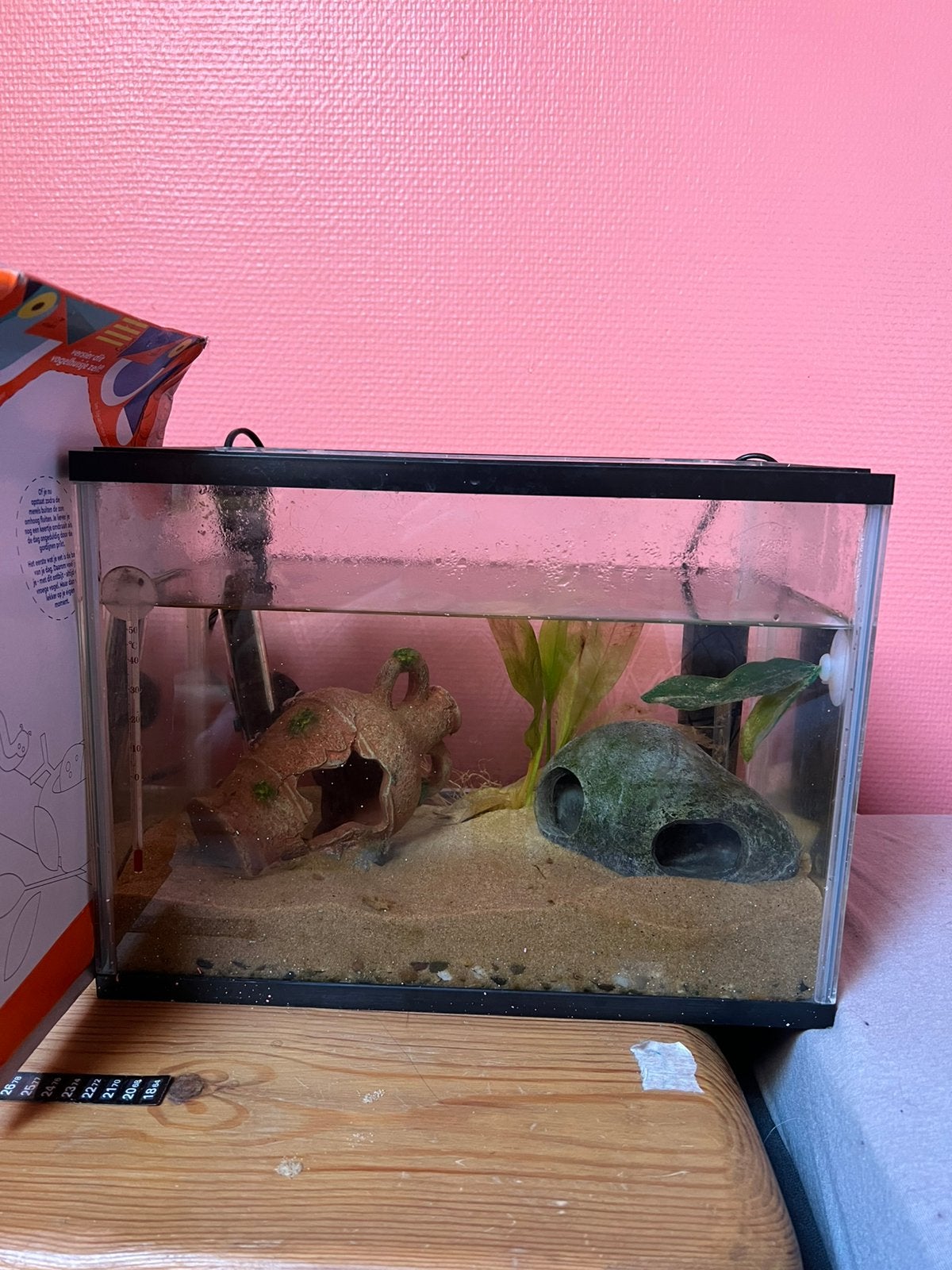Aquarium te koop, Animaux & Accessoires, Octobre, Mâle, Domestique, Autres types
