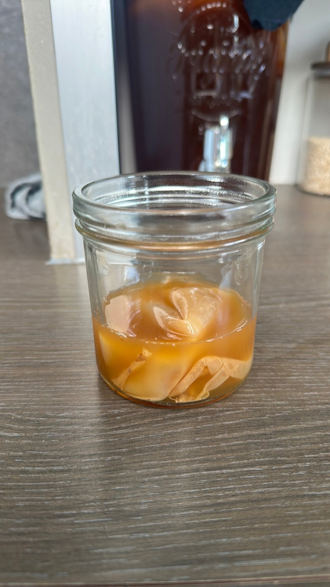 Scoby voor kombucha, Enlèvement