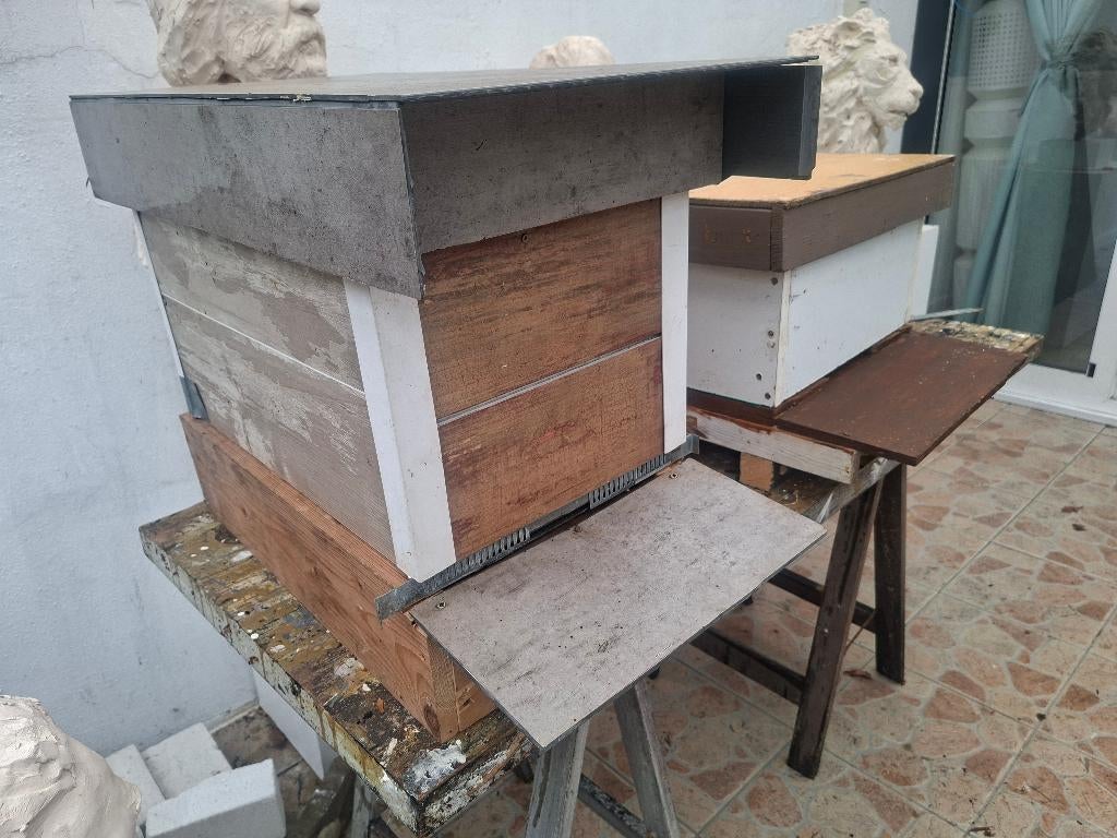 bijenkasten (Dadant & Simplex) 100€– klaar voor gebruik, Bijen
