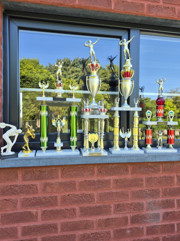 Trophée de musculation, Sports & Fitness, Enlèvement ou Envoi