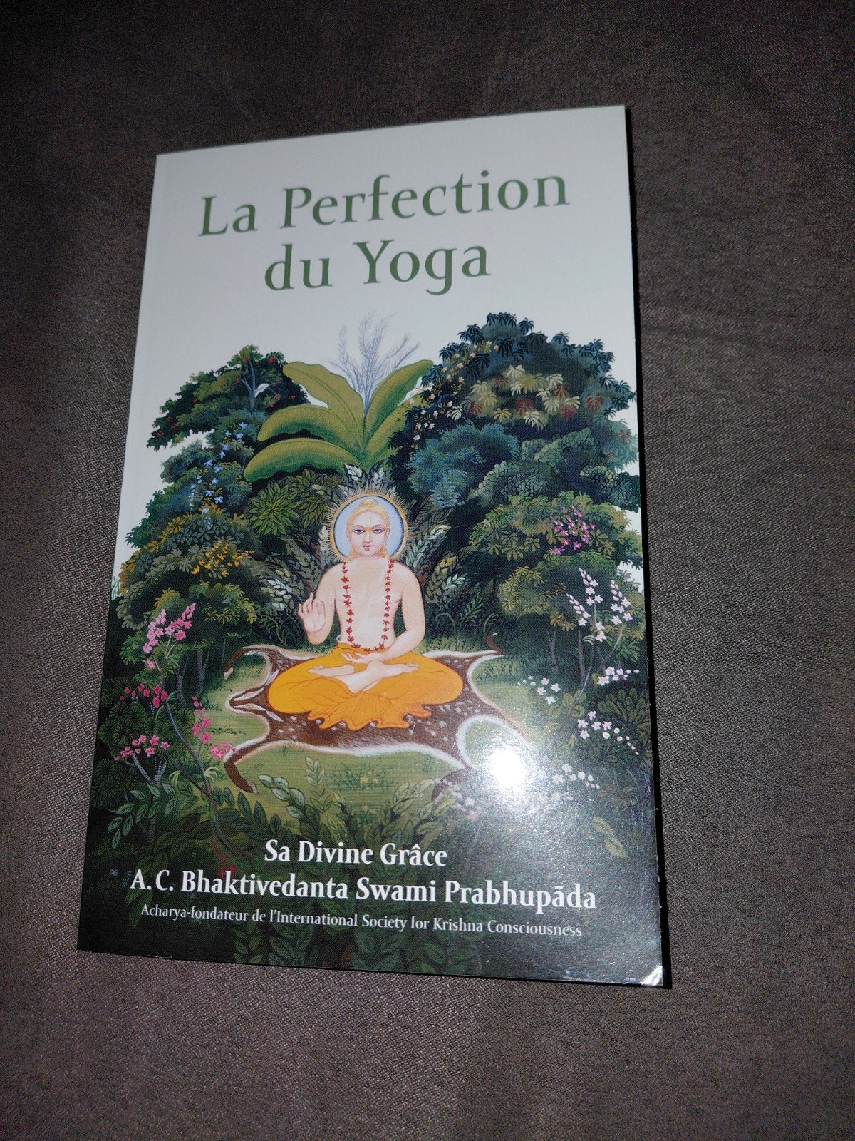 livre la perfection du yoga, Enlèvement