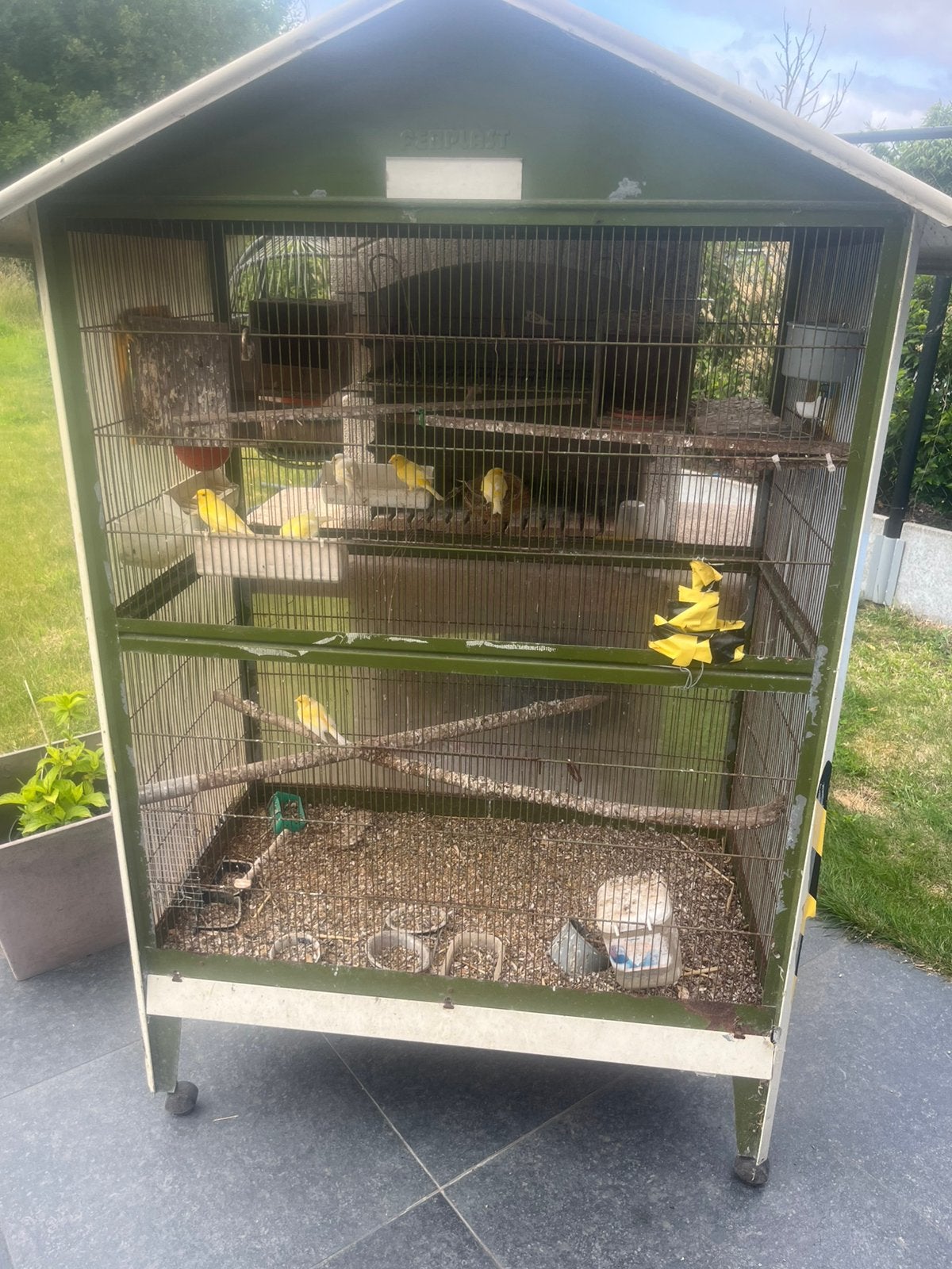 Voliere, Dieren en Toebehoren, Ophalen of Verzenden, Zo goed als nieuw