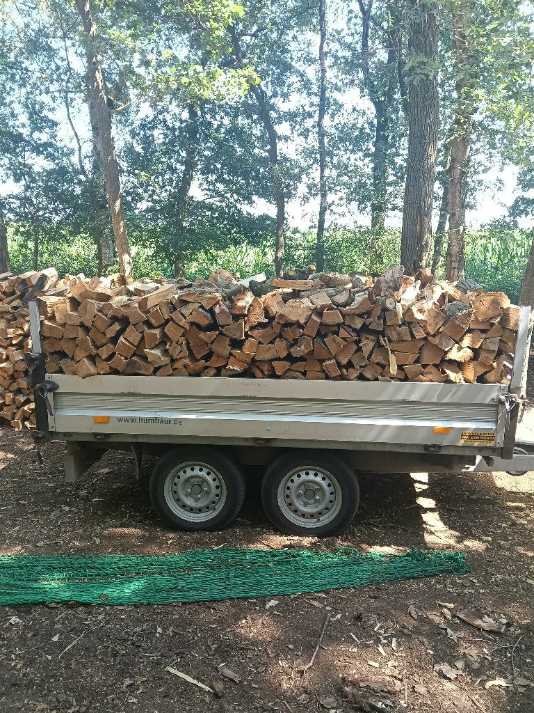 Brandhout, 6 m³ ou plus, Enlèvement ou Envoi, Autres essences de bois, Bûches