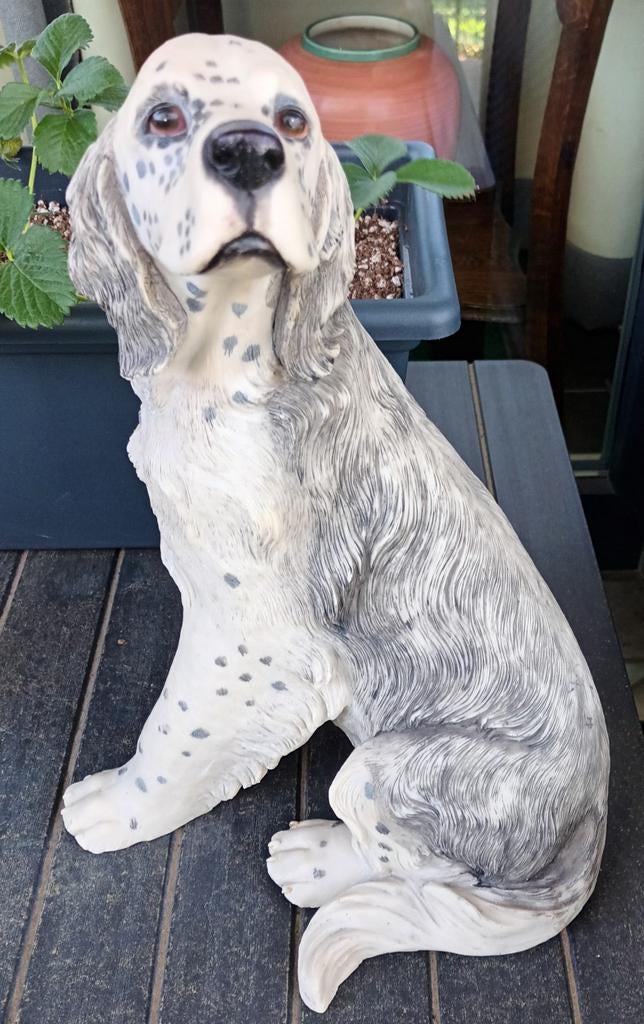 Gipsen hond glazen ogen, Ophalen of Verzenden, Zo goed als nieuw, Overige materialen, Dierenbeeld