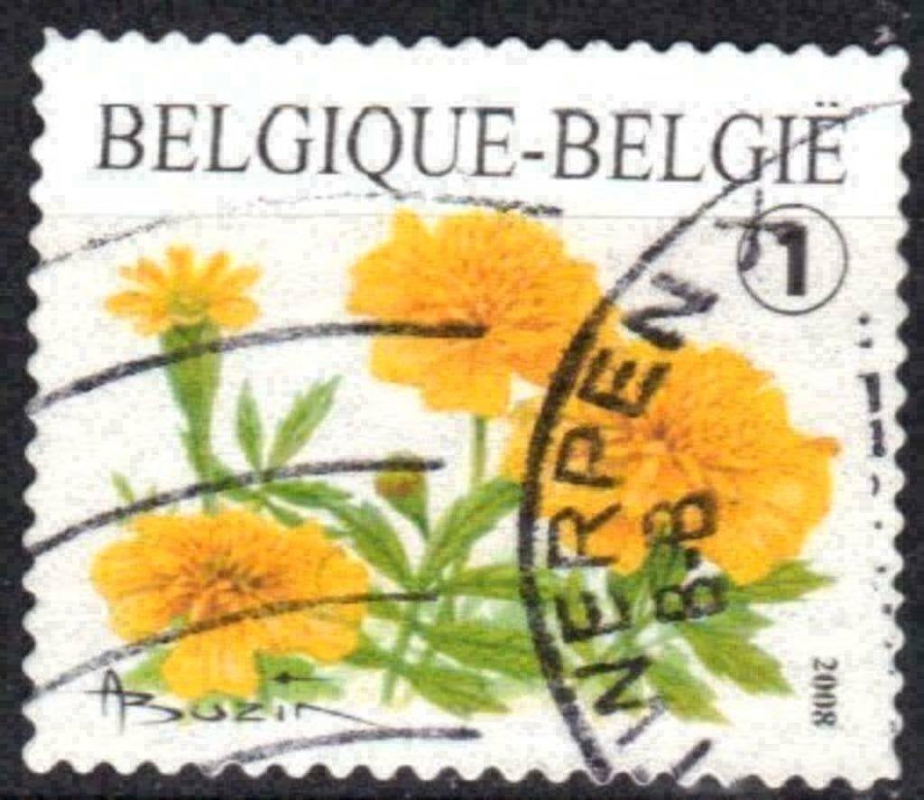 Belgique 2008 - Yvert 3767a /OBP 3824 - Fleurs - (ST), Envoi, Affranchi, Oblitéré