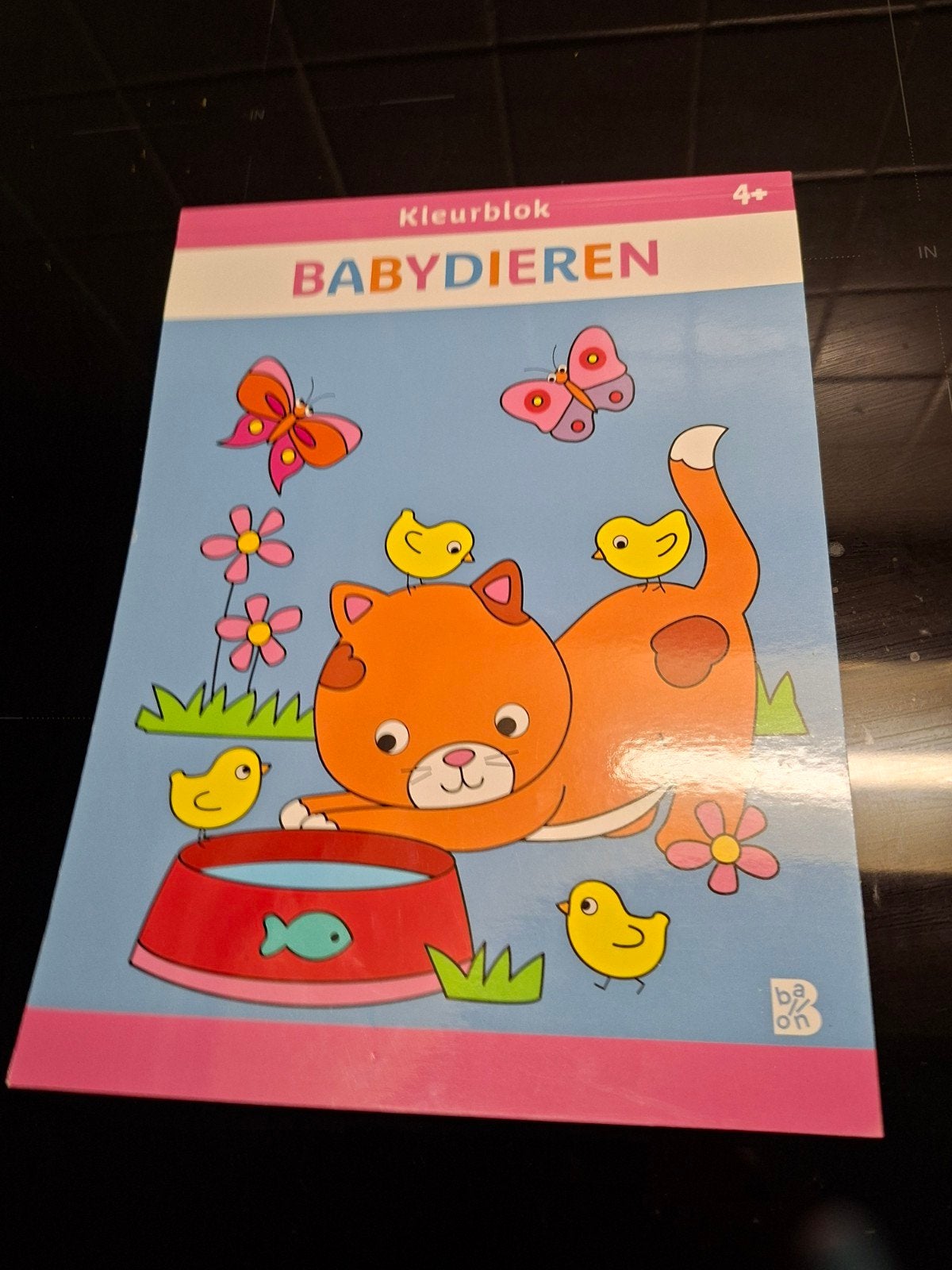 Cahier de coloriage, quelques pages plus tard, Enlèvement