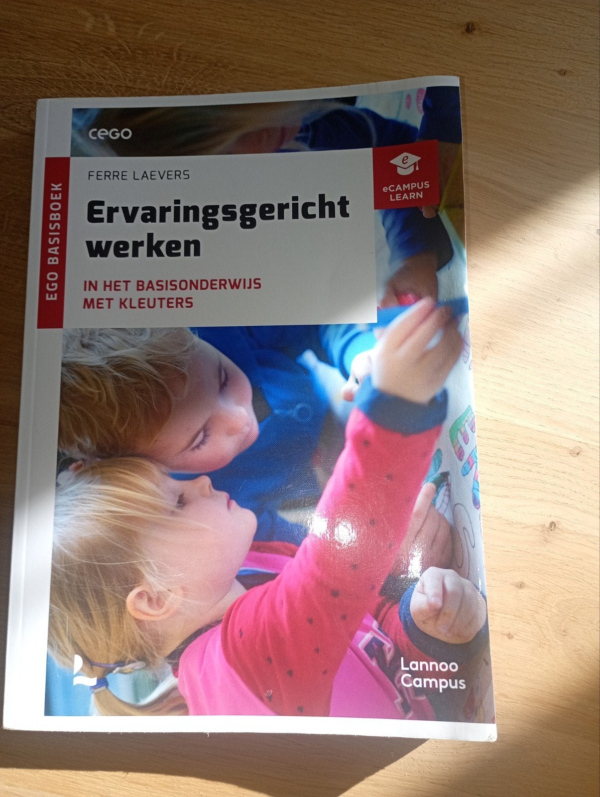 ervaringsgericht werken, Livres, Enlèvement, Autres matières, Ferre Laevers
