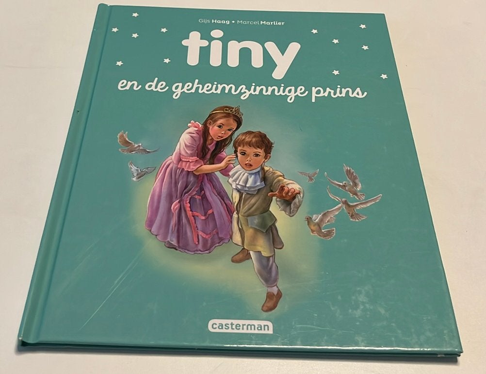 Gijs Haag - Tiny en de geheimzinnige prins, Boeken, Ophalen of Verzenden, Gijs Haag