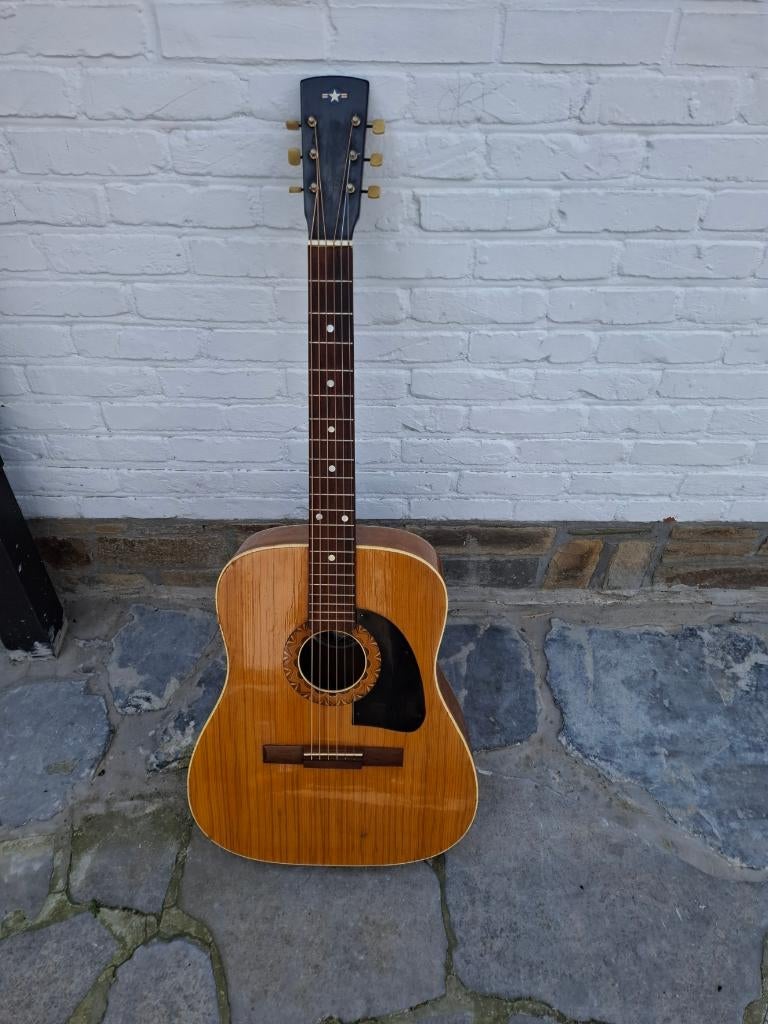 Vintage Hoyer des années 1960, Musique & Instruments, Enlèvement, Utilisé, Guitare Western ou Guitare Folk