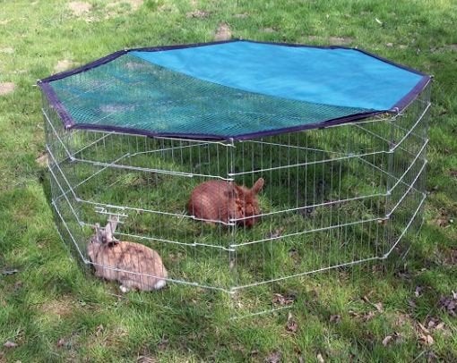 Enclos pour lapins, Animaux & Accessoires, Enlèvement