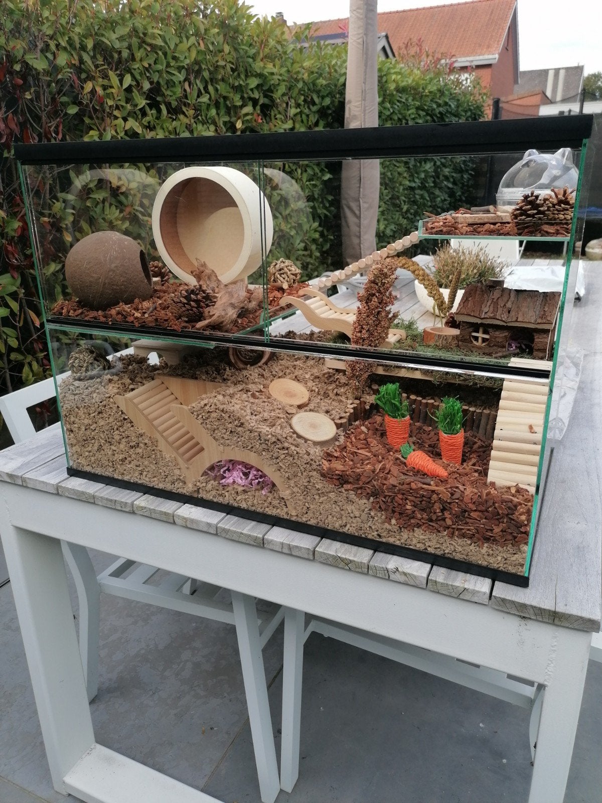 Kooi + toebehoren, Dieren en Toebehoren, Ophalen, Kooi, Hamster