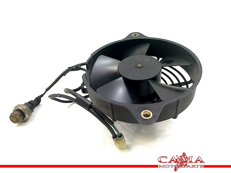 VENTILATOR Honda SES 150 Dylan (SES150) (VA41-A35-46A), Motoren, Dhr. S. di Majo, Gebruikt, Info@cama-motorparts.nl, P.J. Troelstraweg 8 8
3144 CX  MAASSLUIS, NL
