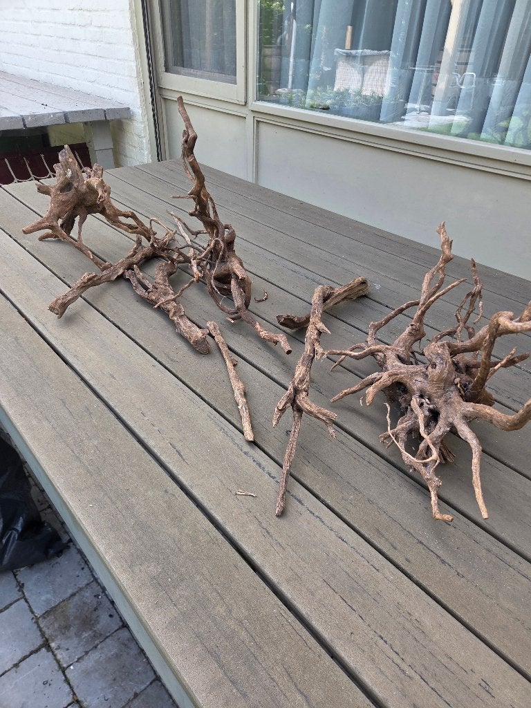 kienhout-spiderwood-prijsverlaging, Dieren en Toebehoren, Ophalen