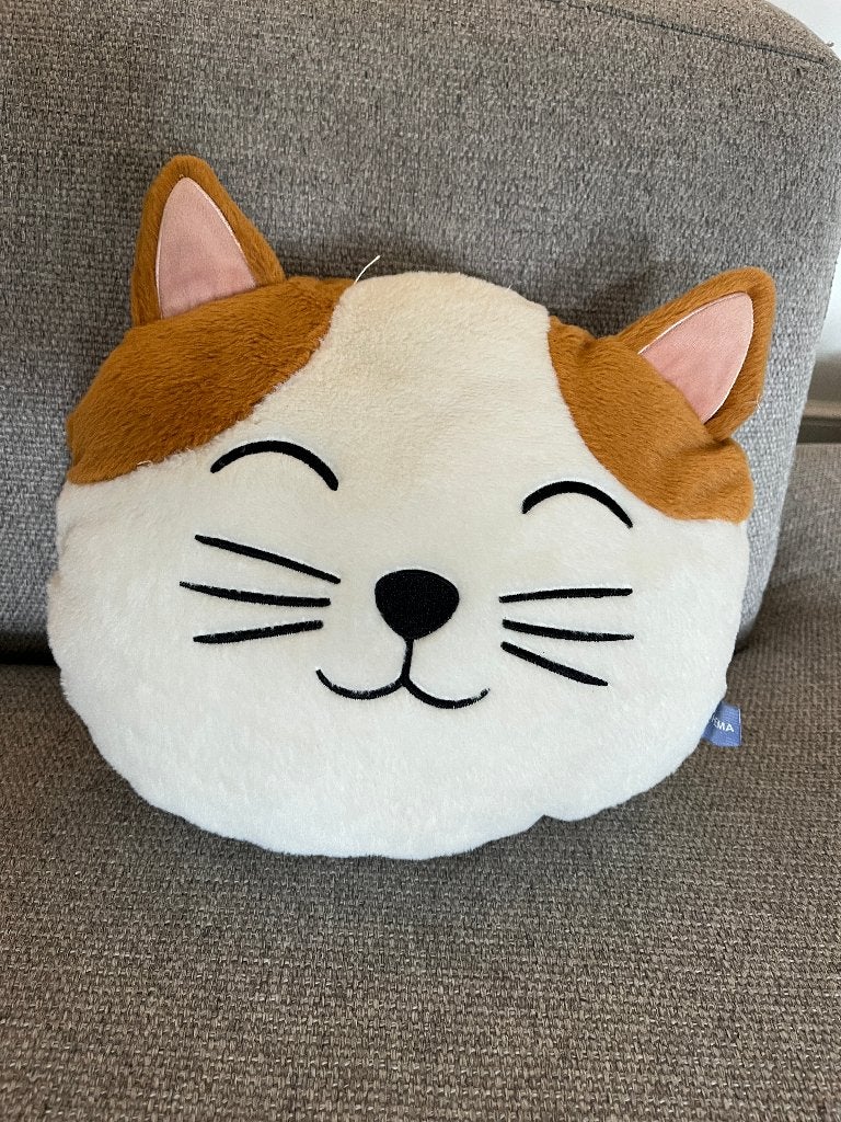 Kussentje kat met opbergruimte, Enfants & Bébés, Jouets | Peluches, Enlèvement ou Envoi, Comme neuf, Chat, Moyen (20 à 80 cm)
