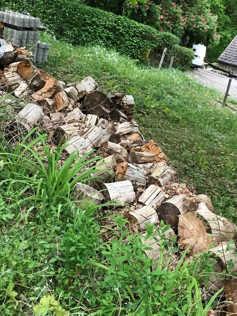 Brandhout, gekapt of niet, Tuin en Terras, Brandhout, 6 m³ of meer, Ophalen, Overige houtsoorten, Blokken